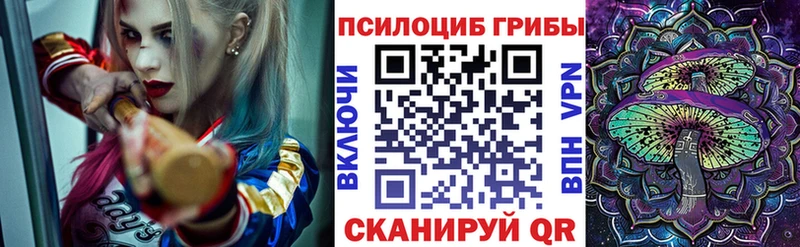 Галлюциногенные грибы Psilocybine cubensis  Костерёво 